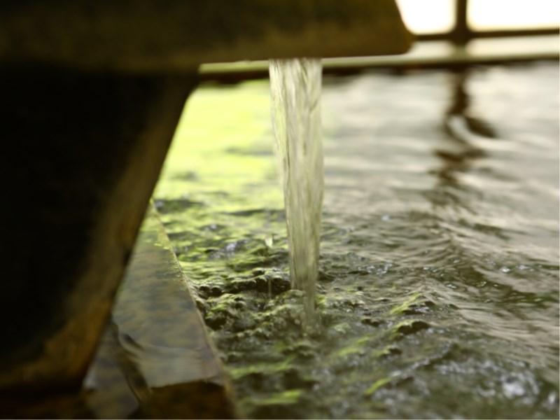 Besshoonsen Nanjyo Ryokan Ueda Εξωτερικό φωτογραφία