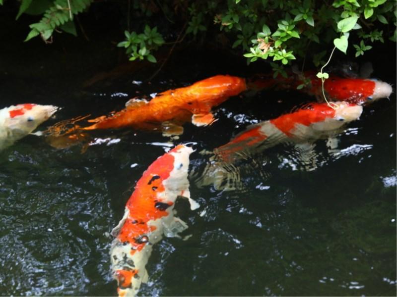 Besshoonsen Nanjyo Ryokan Ueda Εξωτερικό φωτογραφία