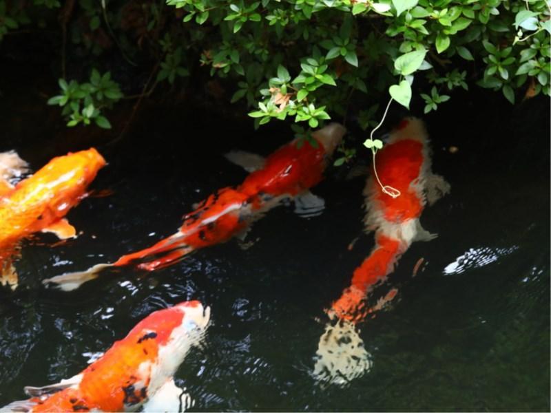 Besshoonsen Nanjyo Ryokan Ueda Εξωτερικό φωτογραφία